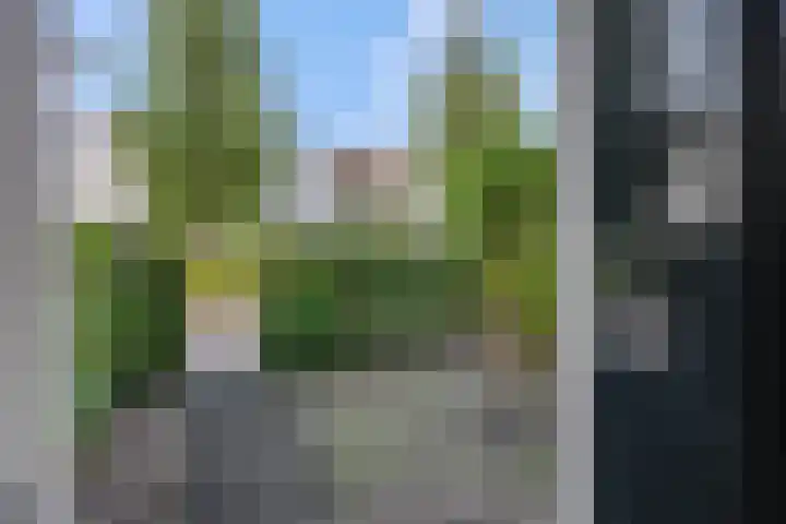 G.H. Roeterdinkstraat 13 Voorthuizen thumbnail 12