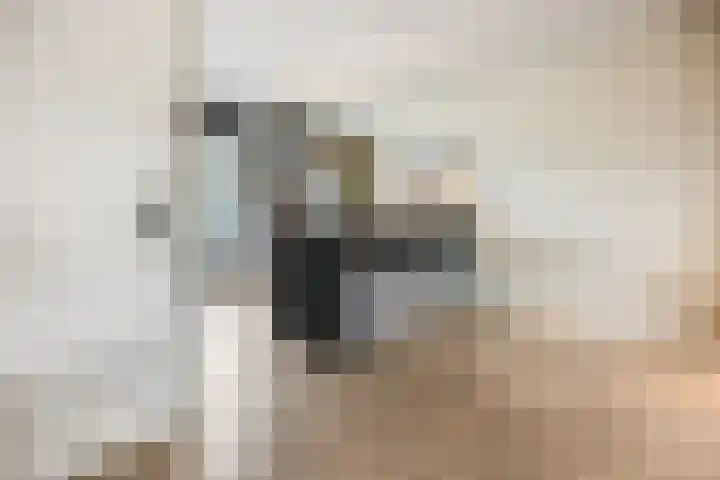 G.H. Roeterdinkstraat 13 Voorthuizen thumbnail 20