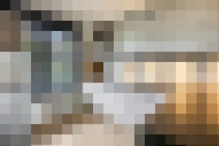 G.H. Roeterdinkstraat 13 Voorthuizen thumbnail 22
