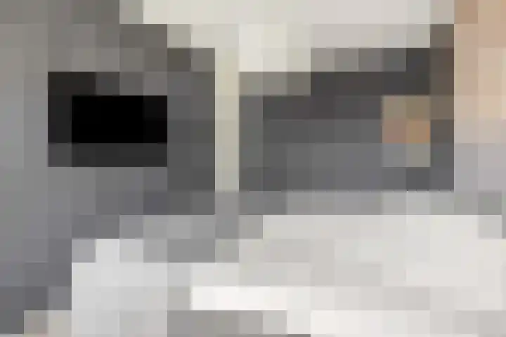 G.H. Roeterdinkstraat 13 Voorthuizen thumbnail 31