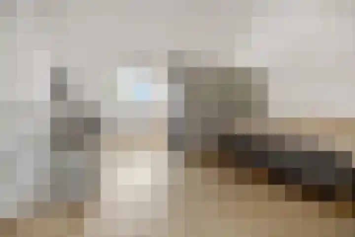 G.H. Roeterdinkstraat 13 Voorthuizen thumbnail 43