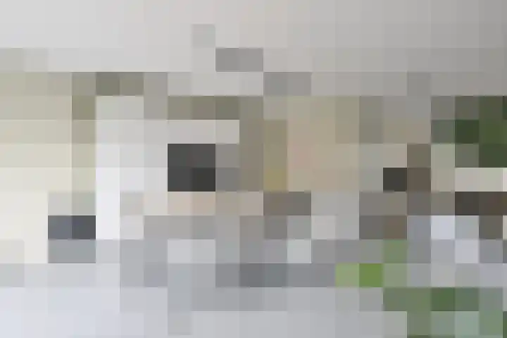 G.J. Boekhovenstraat 10 Groningen thumbnail 14
