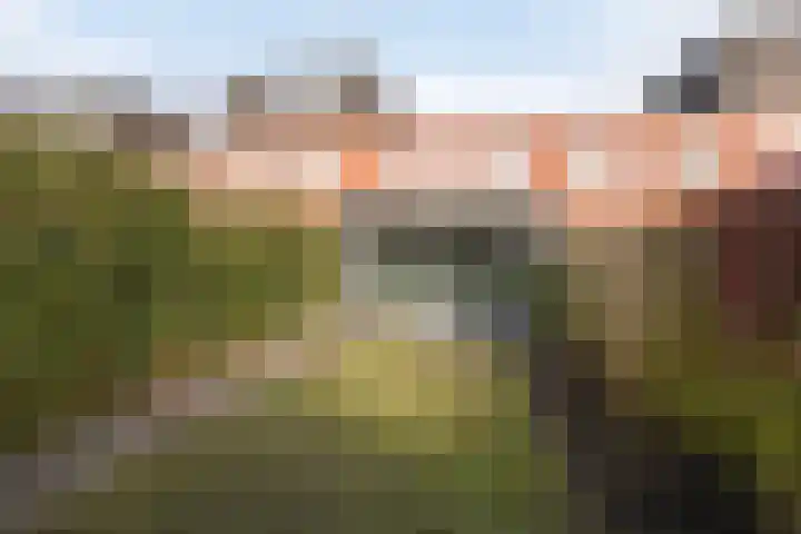 G.J. Boekhovenstraat 10 Groningen thumbnail 31