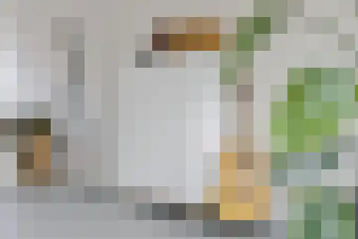 G.J. Boekhovenstraat 10 Groningen thumbnail 7