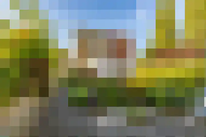 G.J. Boekhovenstraat 67 Groningen thumbnail 15