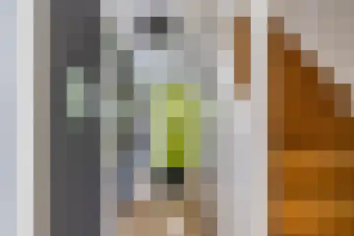 G.J. Boekhovenstraat 67 Groningen thumbnail 16