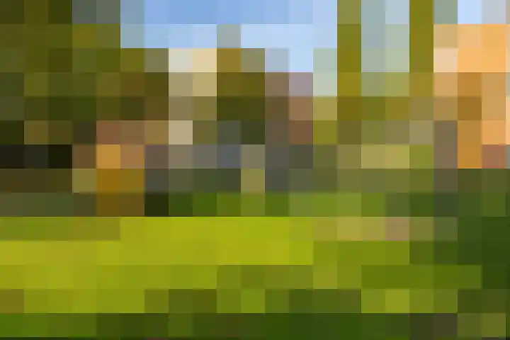 G.J. Boekhovenstraat 67 Groningen thumbnail 33