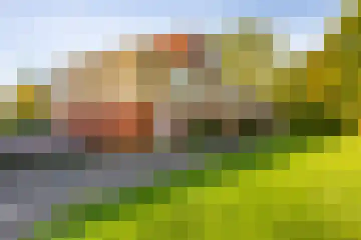 G.J. Boekhovenstraat 67 Groningen thumbnail 4