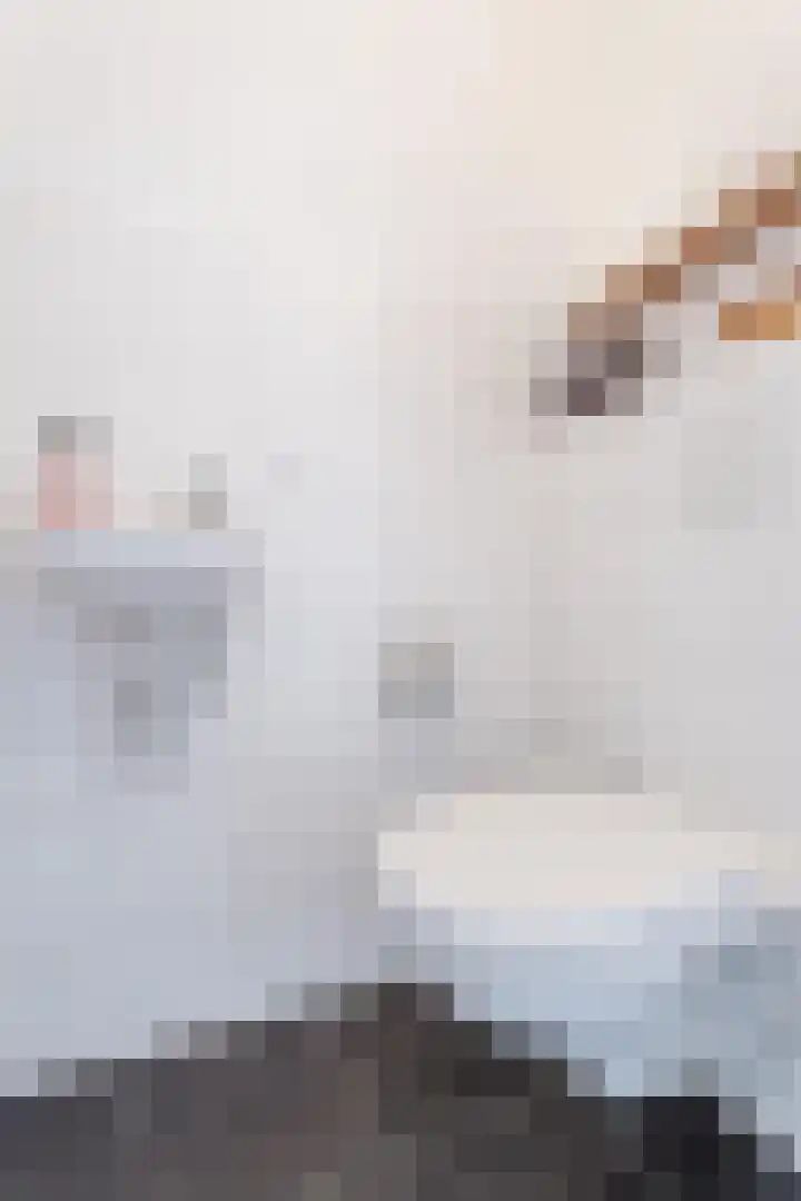 G J Brenkmanlaan 12 Kesteren thumbnail 17