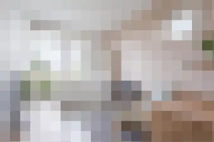 G J Brenkmanlaan 12 Kesteren thumbnail 24