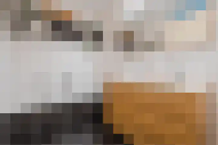 G J Brenkmanlaan 12 Kesteren thumbnail 27