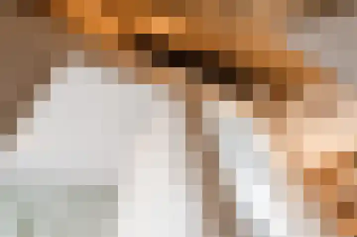 G J Brenkmanlaan 12 Kesteren thumbnail 36