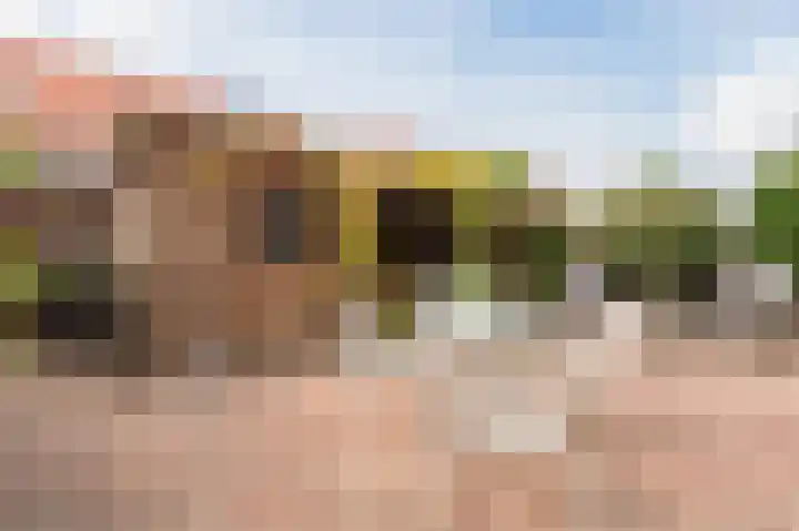 G J Brenkmanlaan 12 Kesteren thumbnail 39