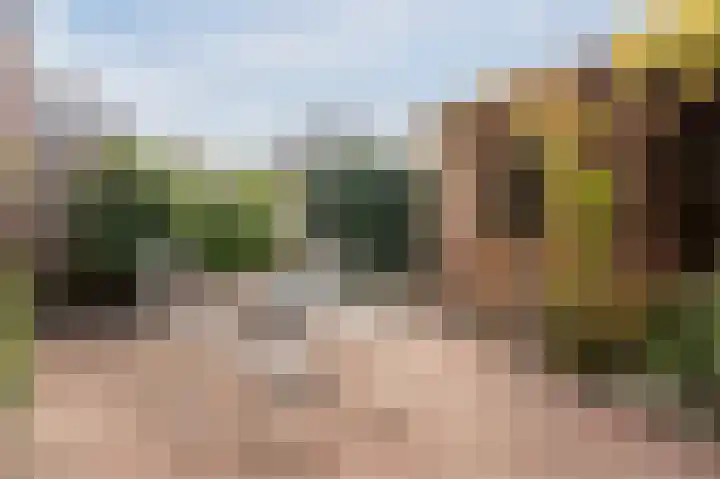 G J Brenkmanlaan 12 Kesteren thumbnail 40