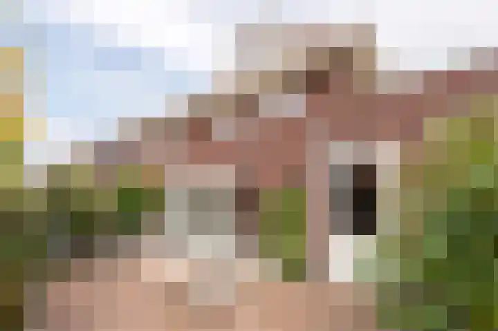 G J Brenkmanlaan 12 Kesteren thumbnail 41