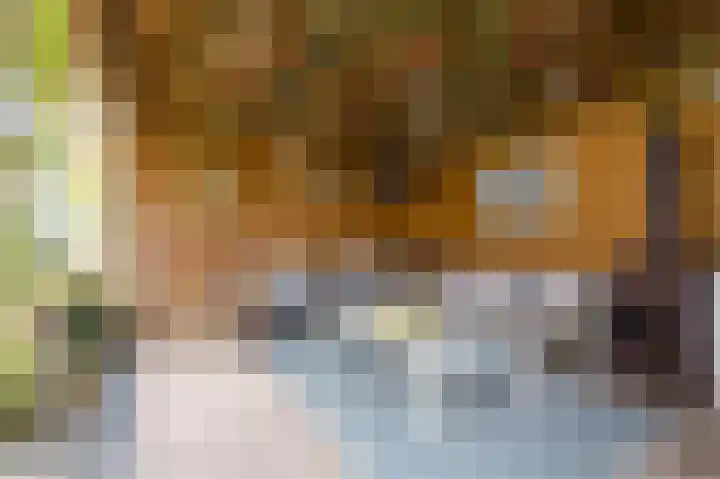 G J Brenkmanlaan 12 Kesteren thumbnail 44