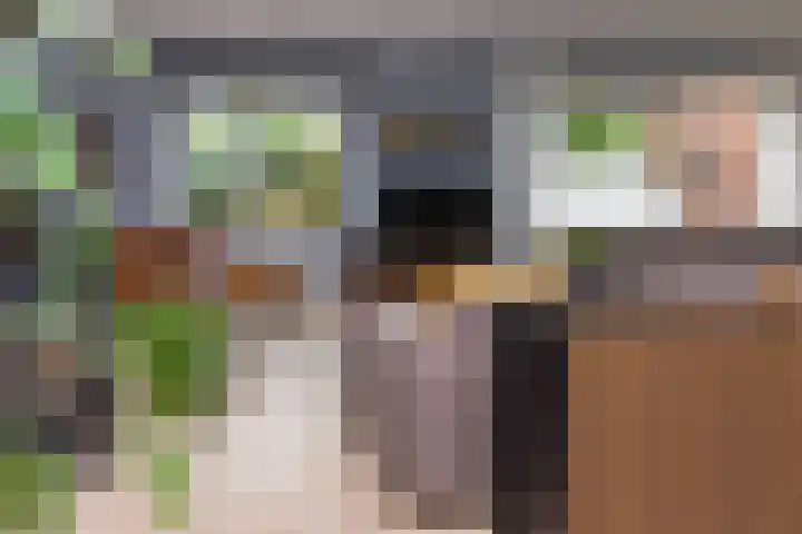 G J Brenkmanlaan 28 Kesteren thumbnail 11