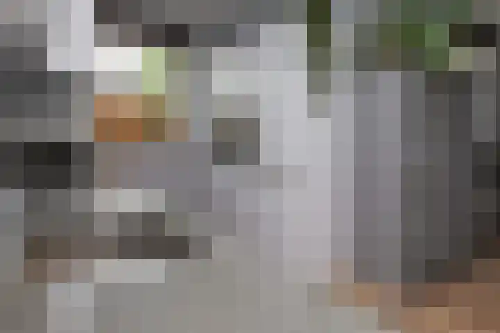 G J Brenkmanlaan 28 Kesteren thumbnail 14