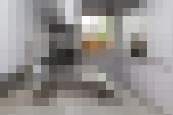 G J Brenkmanlaan 28 Kesteren thumbnail 15