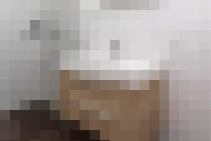 G J Brenkmanlaan 28 Kesteren thumbnail 26