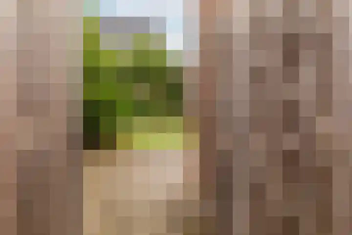 G J Brenkmanlaan 28 Kesteren thumbnail 32