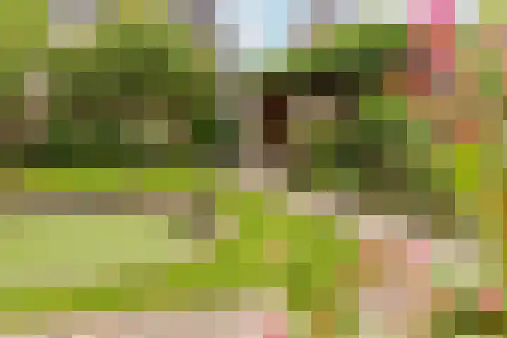 G J Brenkmanlaan 28 Kesteren thumbnail 34