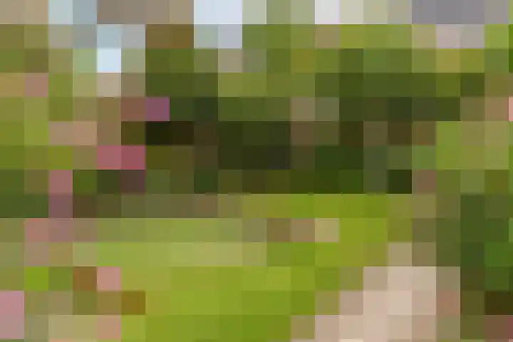 G J Brenkmanlaan 28 Kesteren thumbnail 35