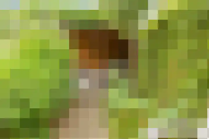 G J Brenkmanlaan 28 Kesteren thumbnail 37