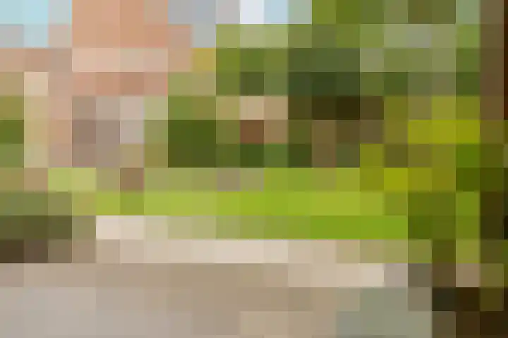 G J Brenkmanlaan 28 Kesteren thumbnail 38