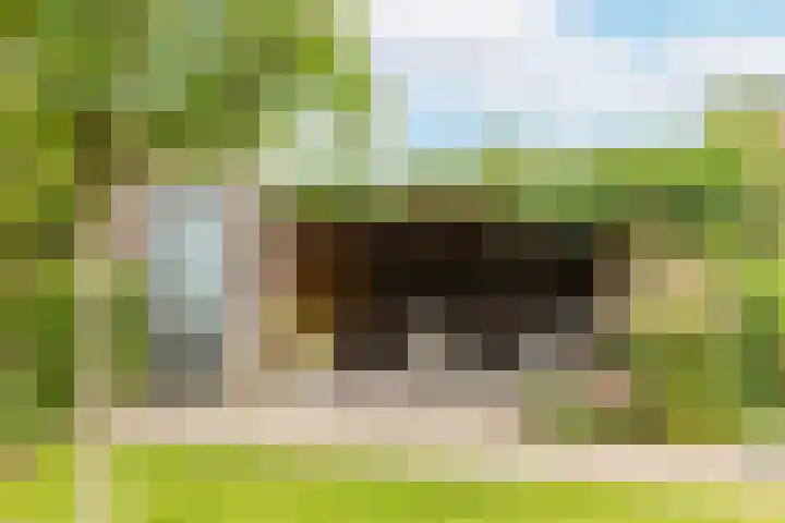 G J Brenkmanlaan 28 Kesteren thumbnail 39