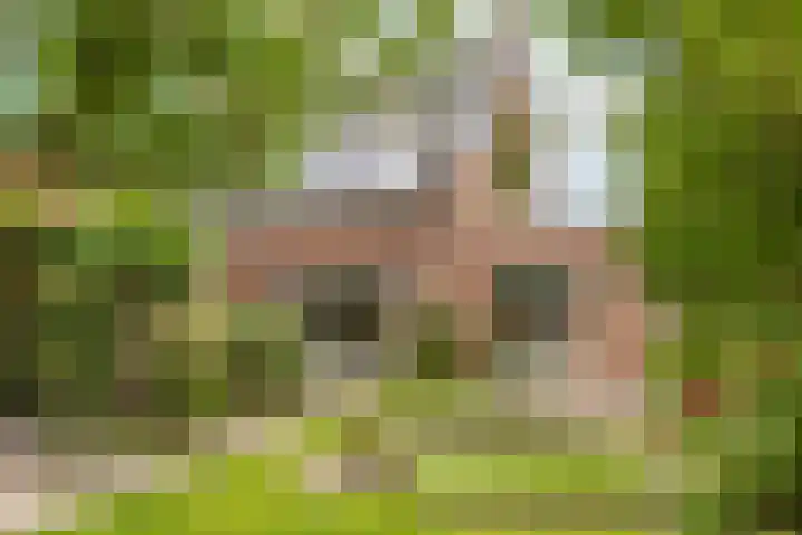 G J Brenkmanlaan 28 Kesteren thumbnail 40