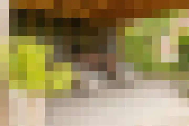 G J Brenkmanlaan 28 Kesteren thumbnail 43