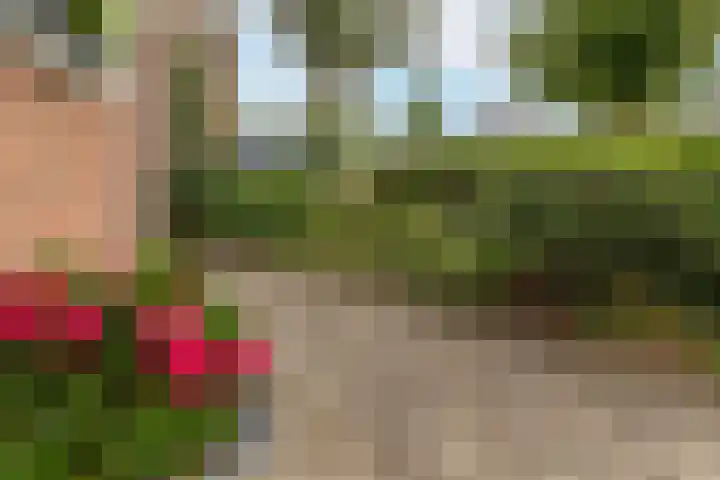G J Brenkmanlaan 28 Kesteren thumbnail 48
