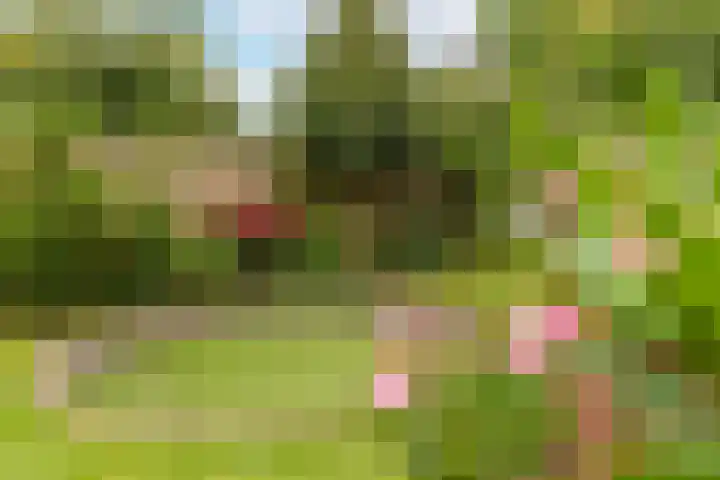 G J Brenkmanlaan 28 Kesteren thumbnail 67