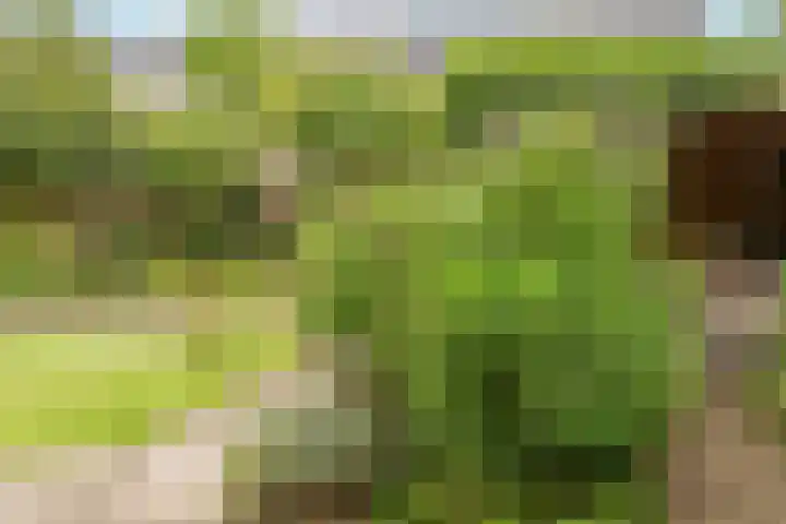 G J Brenkmanlaan 28 Kesteren thumbnail 68