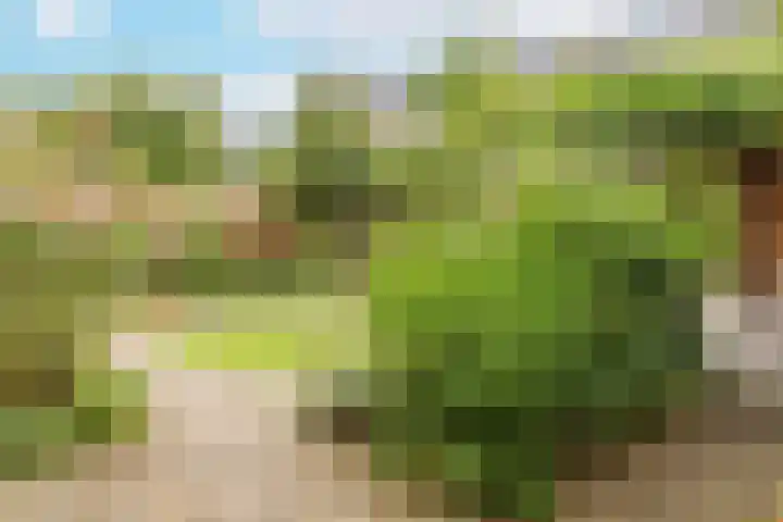 G J Brenkmanlaan 28 Kesteren thumbnail 69