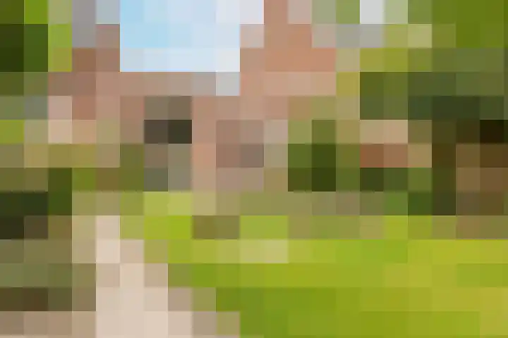 G J Brenkmanlaan 28 Kesteren thumbnail 70