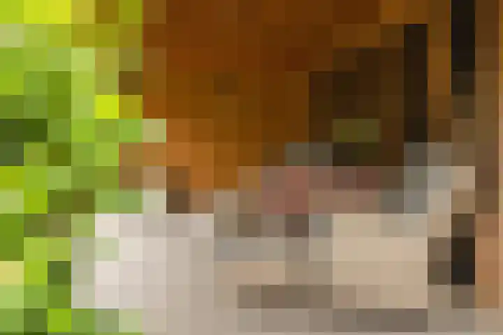G J Brenkmanlaan 28 Kesteren thumbnail 72