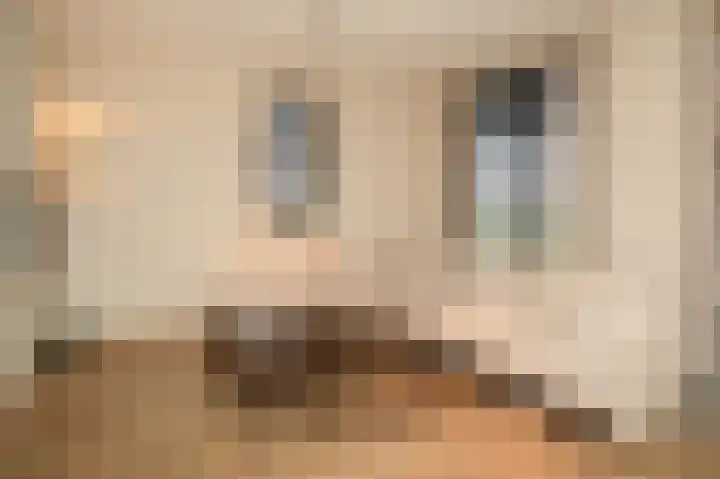 G J Brenkmanlaan 6 Kesteren thumbnail 10
