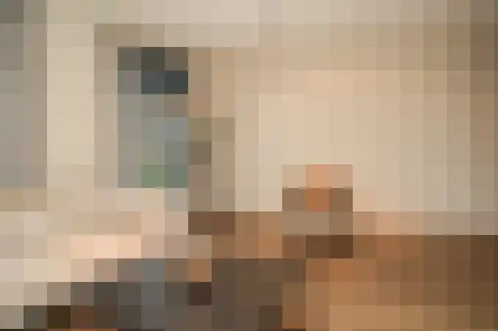 G J Brenkmanlaan 6 Kesteren thumbnail 11