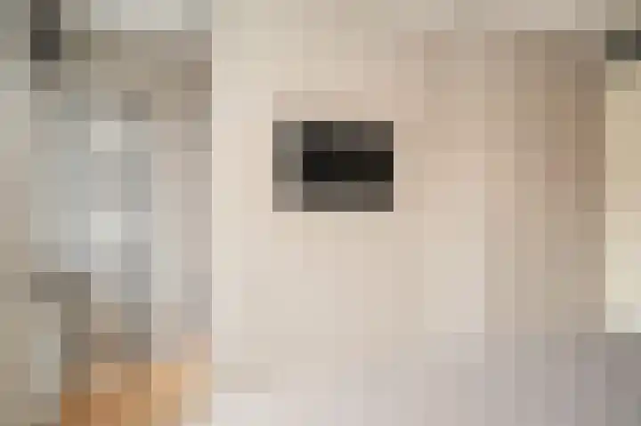 G J Brenkmanlaan 6 Kesteren thumbnail 25