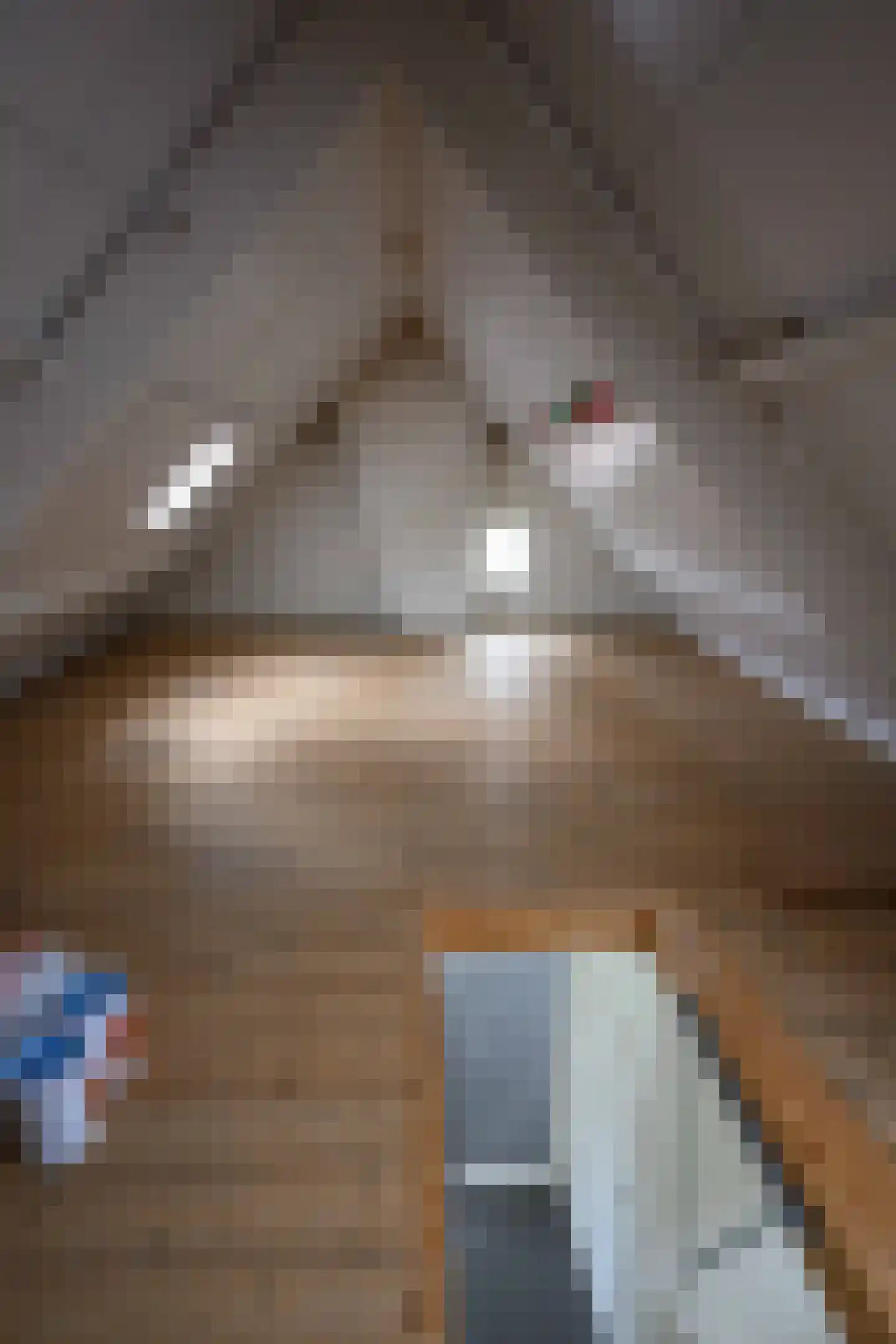 G.J. Gillotstraat 14 Ens thumbnail 47