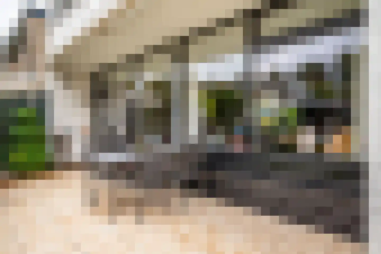 G.J. Gillotstraat 66 Ens thumbnail 24