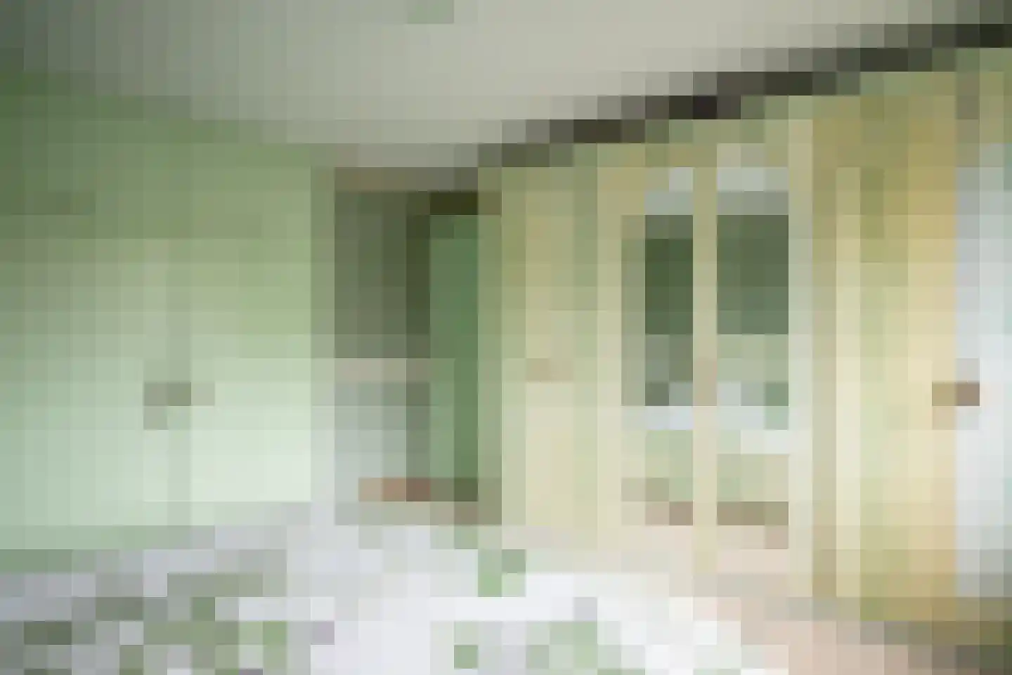 G.J. Gillotstraat 66 Ens thumbnail 38