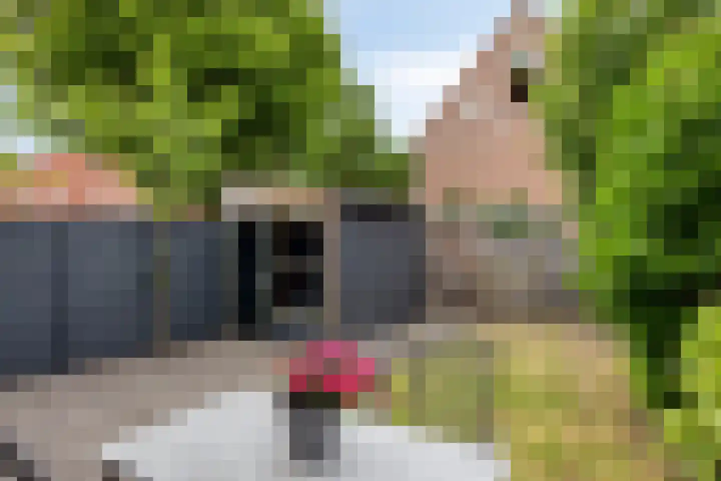 G.J. Leonard Ankersmitlaan 31 Deventer thumbnail 26