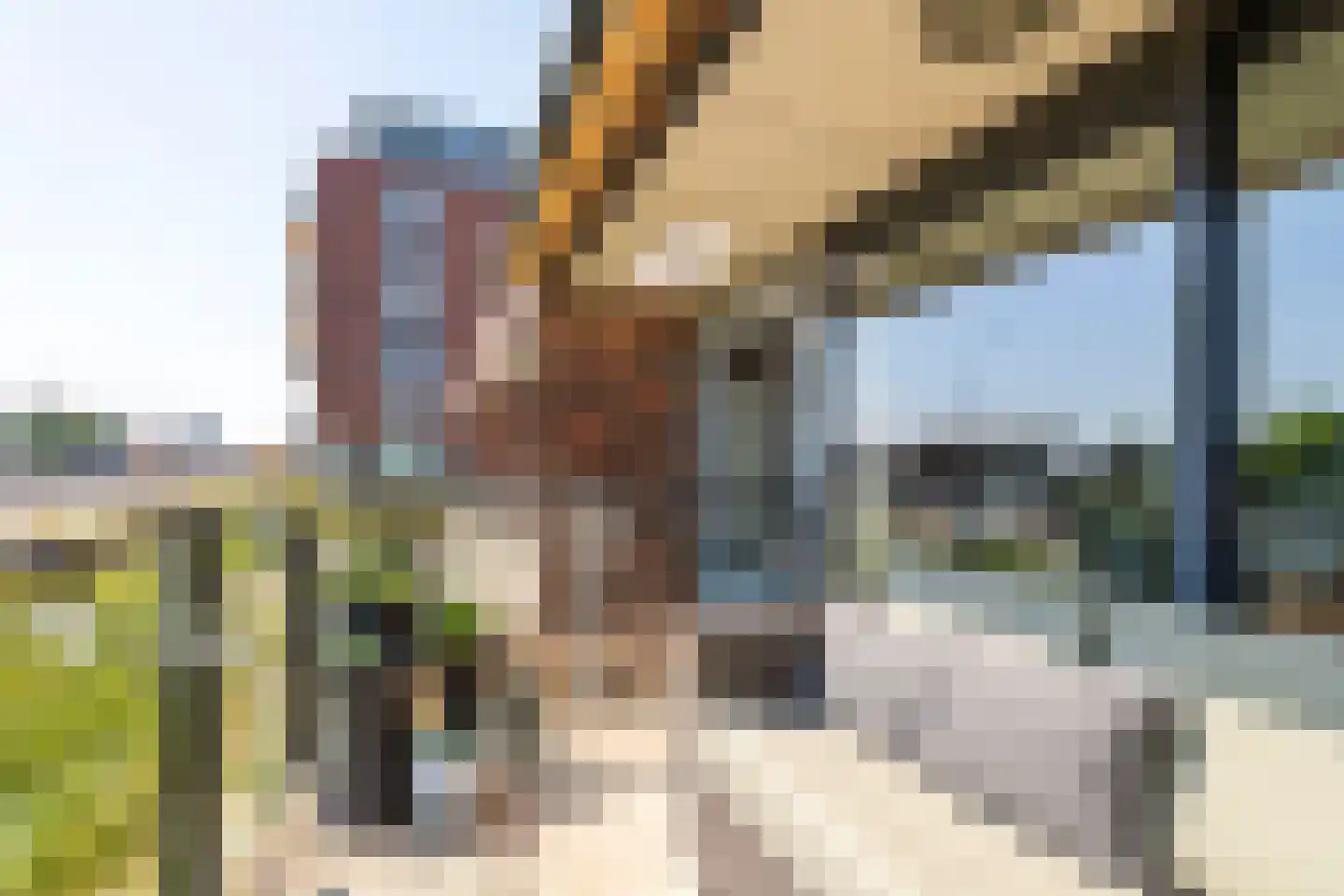 G.J. Petersstraat 21 Tiel thumbnail 24