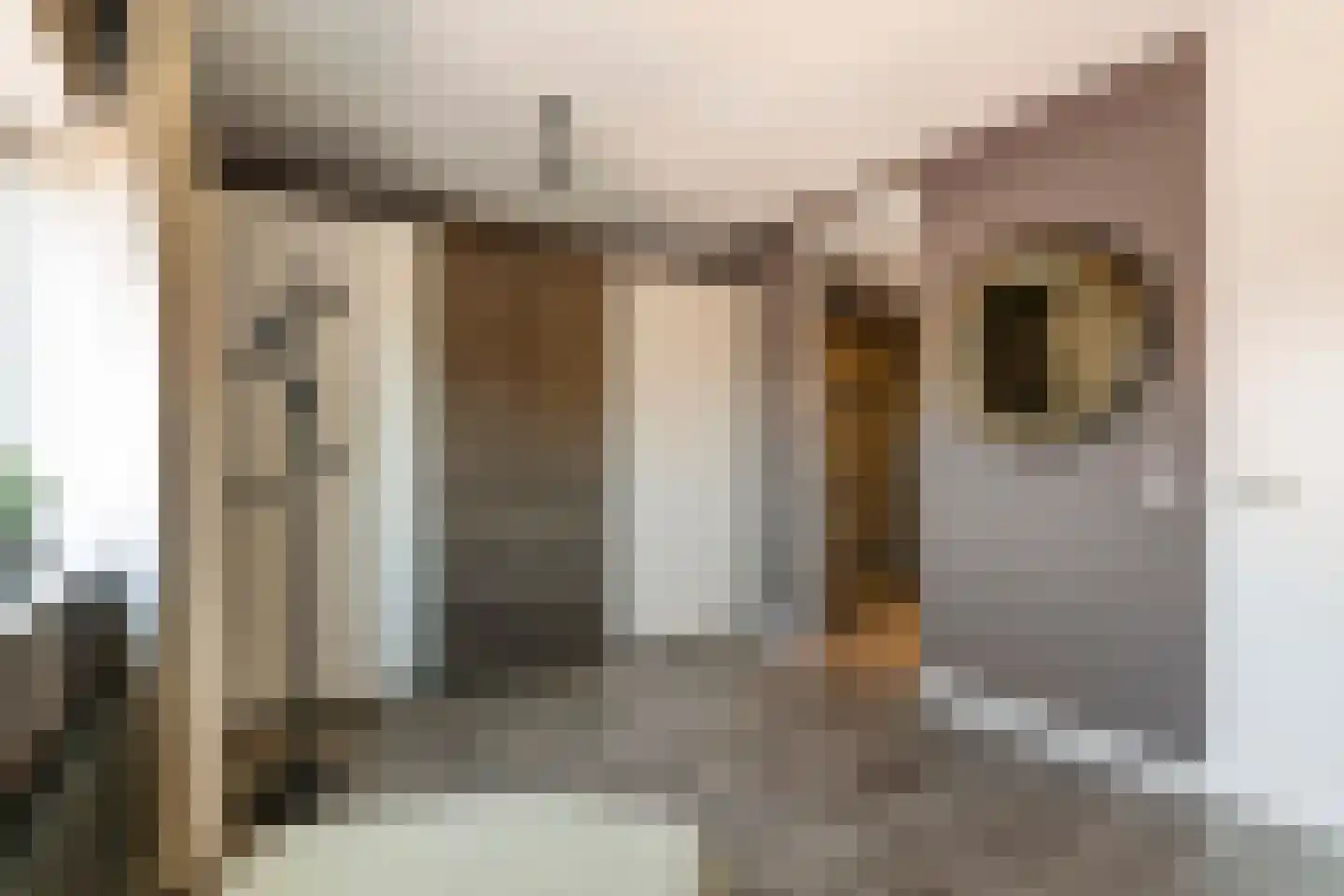 G.J. Petersstraat 21 Tiel thumbnail 35