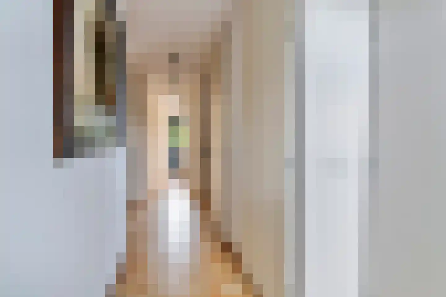 G.J. Petersstraat 27 Tiel thumbnail 8