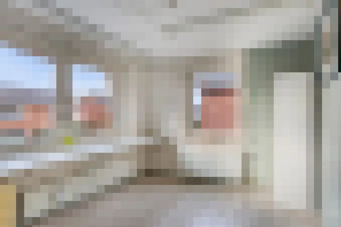 G J Piksenstraat 13 Nijverdal thumbnail 12