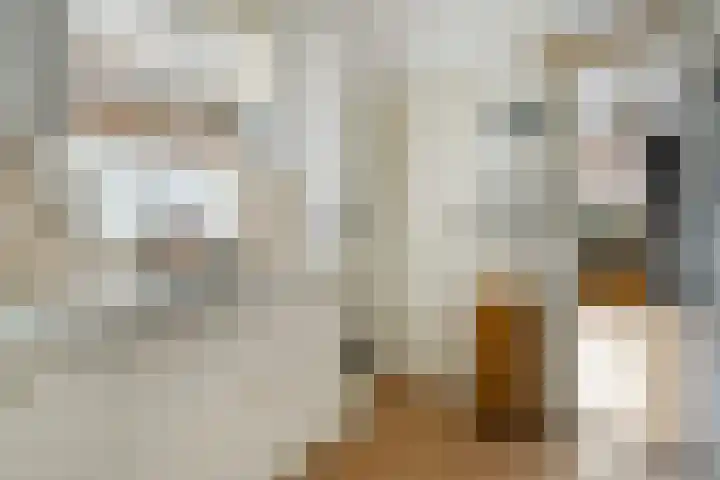 G J Piksenstraat 14 Nijverdal thumbnail 8